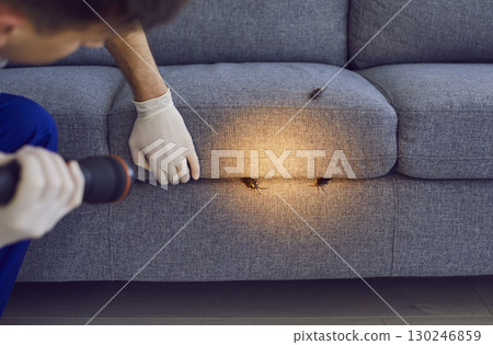 Pest Control Worker Examining Sofa for Insects at Home Pest Control Worker Examining Sofa for Insects at Home 130246859