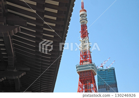 增上寺本堂及東京鐵塔 [東京都港區] 130246926