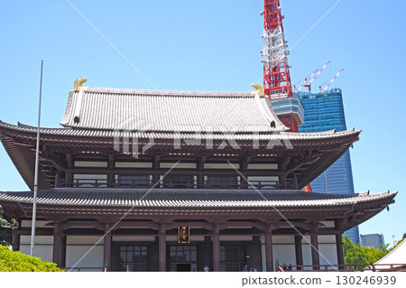 Zojoji Temple Main Hall and Tokyo Tower [Minato Ward, Tokyo] 130246939