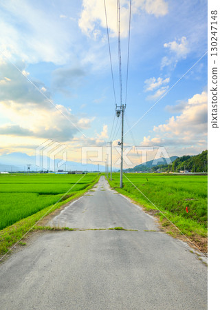 [傍晚景色] 田間小路、稻田和夏日天空 [大町市] 130247148