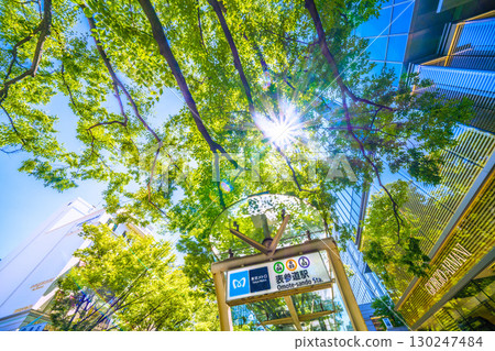 Tokyo cityscape in Japan, overlooking the lush greenery of Omotesando, Tokyo Tokyo cityscape in Japan, overlooking the lush greenery of Omotesando, Tokyo 130247484
