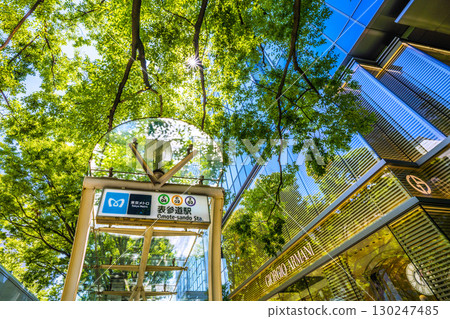 Tokyo cityscape in Japan, overlooking the lush greenery of Omotesando, Tokyo Tokyo cityscape in Japan, overlooking the lush greenery of Omotesando, Tokyo 130247485