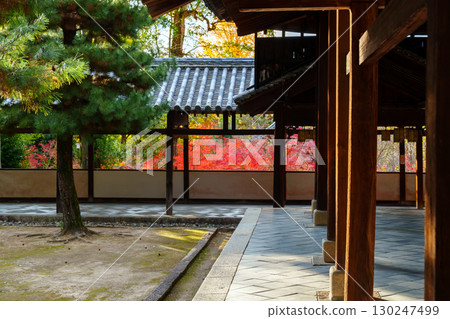 Manpukuji Temple, corridor and autumn leaves 130247499