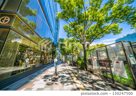 Tokyo cityscape in Japan, overlooking the lush greenery of Omotesando, Tokyo 130247500