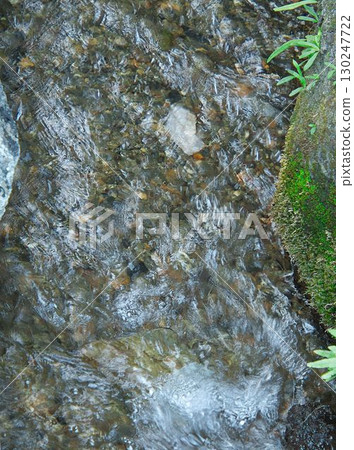 Stream and moss 130247722