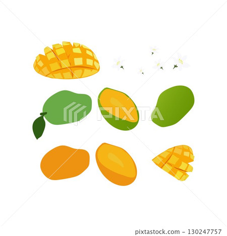 mango fruits free vector illustratio 130247757