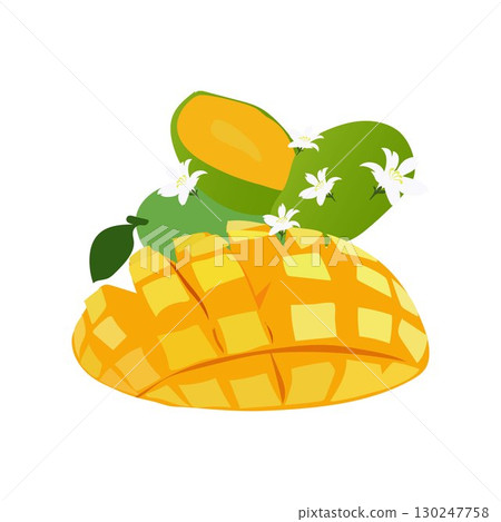 mango fruits free vector illustratio mango fruits free vector illustratio 130247758