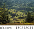 Grassy hills rise up from a meadow at the Gap of Dunloe. Trees stand in the foreground and light plays across the hilly, rocky landscape in County Kerry, Ireland. 130248034