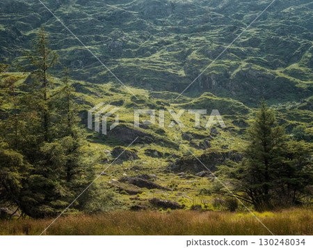 Grassy hills rise up from a meadow at the Gap of Dunloe. Trees stand in the foreground and light plays across the hilly, rocky landscape in County Kerry, Ireland. Grassy hills rise up from a meadow at the Gap of Dunloe. Trees stand in the foreground and light plays across the hilly, rocky landscape in County Kerry, Ireland. 130248034