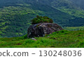 A large rock covered in lush green shrubbery sits in a field of tall grass. Rolling hills form a scenic backdrop in the Gap of Dunloe, Ireland. 130248036