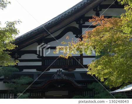 White wall patterns White wall patterns 130248043