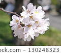 櫻花 130248323