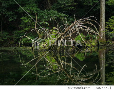 Shirazu Lake, Higashiizu Town, Shizuoka Prefecture 130248391