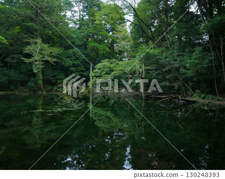 Shirazu Lake, Higashiizu Town, Shizuoka Prefecture 130248393