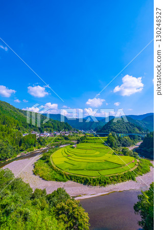 夏末的和歌山縣荒木島梯田 夏末的和歌山縣荒木島梯田 130248527