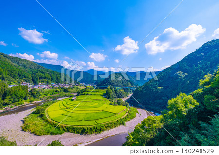 夏末的和歌山縣荒木島梯田 130248529