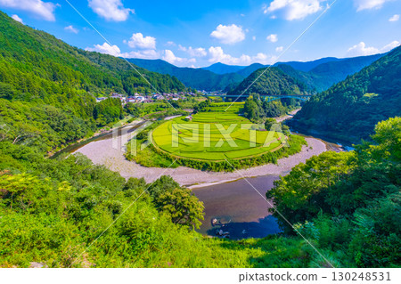 Rice terraces in late summer on Aragi Island, Wakayama Prefecture 130248531