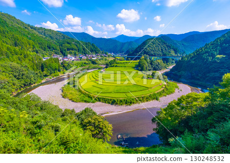 夏末的和歌山縣荒木島梯田 夏末的和歌山縣荒木島梯田 130248532