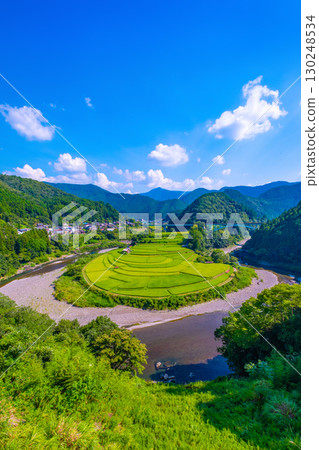 Rice terraces in late summer on Aragi Island, Wakayama Prefecture 130248534