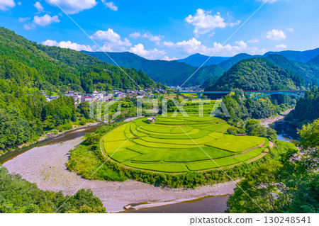 夏末的和歌山縣荒木島梯田 夏末的和歌山縣荒木島梯田 130248541