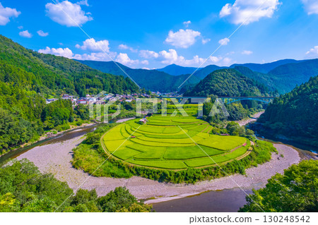 夏末的和歌山縣荒木島梯田 夏末的和歌山縣荒木島梯田 130248542