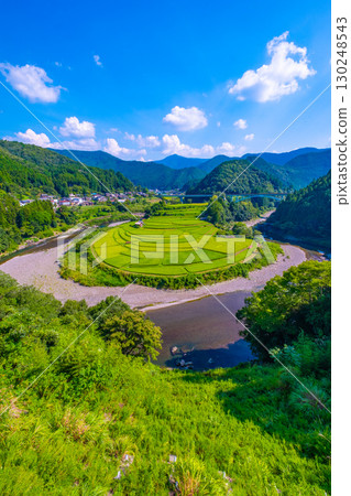 夏末的和歌山縣荒木島梯田 130248543