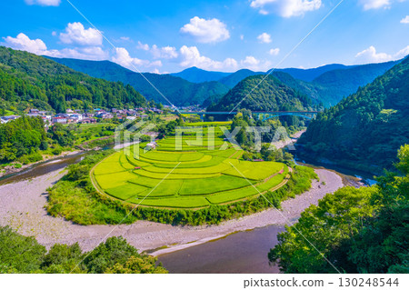夏末的和歌山縣荒木島梯田 130248544