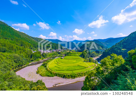 Rice terraces in late summer on Aragi Island, Wakayama Prefecture 130248548