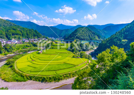 夏末的和歌山縣荒木島梯田 130248560