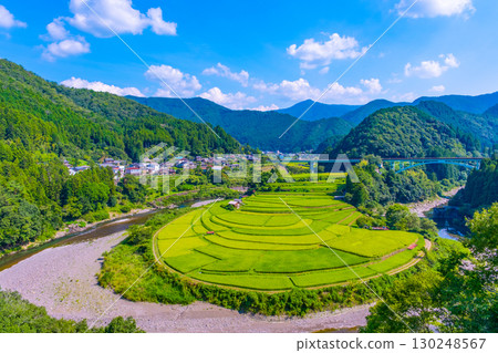 夏末的和歌山縣荒木島梯田 夏末的和歌山縣荒木島梯田 130248567