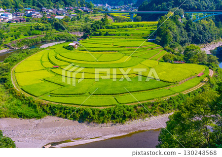 Rice terraces in late summer on Aragi Island, Wakayama Prefecture 130248568