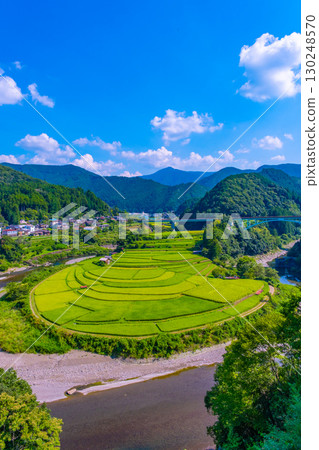 Rice terraces in late summer on Aragi Island, Wakayama Prefecture 130248570