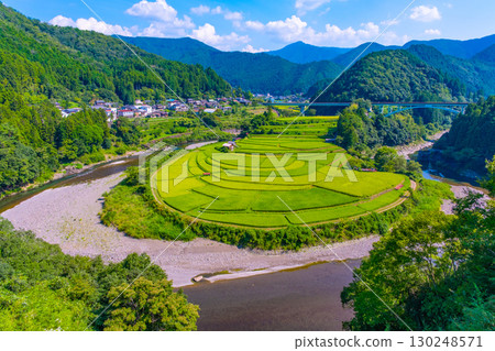 夏末的和歌山縣荒木島梯田 夏末的和歌山縣荒木島梯田 130248571