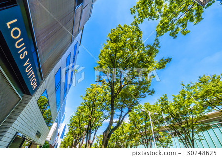 日本東京城市景觀，俯瞰東京表參道鬱鬱蔥蔥的綠色植物 130248625