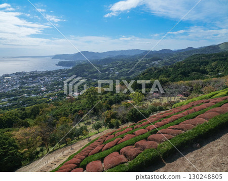 靜岡縣_從稻取展望台眺望稻取半島 130248805