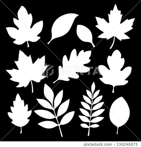 A set of autumn leaves of different shapes on a black background. 130248873
