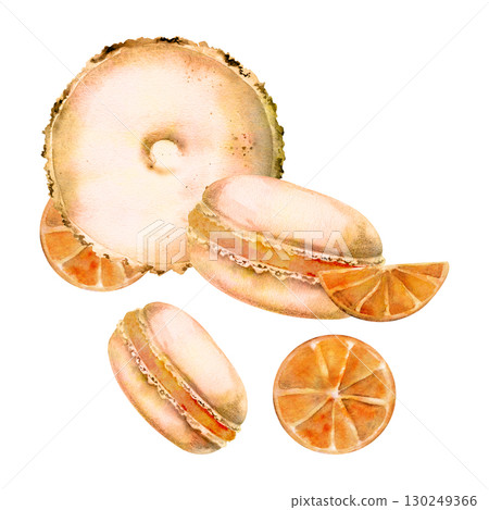 Citrus macarons with orange slices, cream filled sandwich whoopie pies in watercolor. Isolated hand drawn illustration. Summer pastry packaging, juice bar branding, fresh-themed seasonal product lines Citrus macarons with orange slices, cream filled sandwich whoopie pies in watercolor. Isolated hand drawn illustration. Summer pastry packaging, juice bar branding, fresh-themed seasonal product lines 130249366