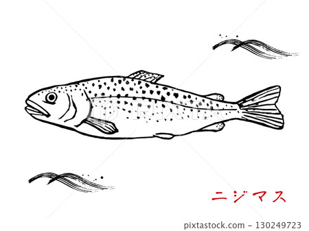 Simple hand-drawn rainbow trout line drawing 130249723