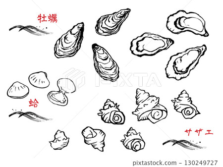 各種貝殼的插圖 各種貝殼的插圖 130249727