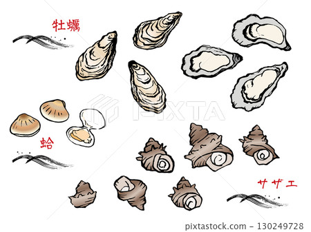 Illustrations of various shells in color 130249728