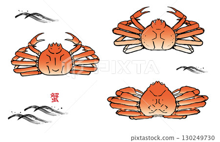 Hand drawn crab illustration 130249730
