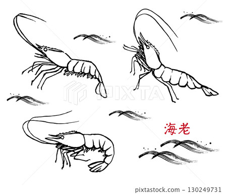 Hand-drawn shrimp line drawing 130249731