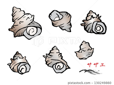 A set of various turban shells 130249860
