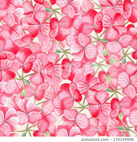 Red geranium flower seamless pattern. Hand-painted watercolor delicate petals and green buds. Perfect for wrapping paper, floral textile, wedding invitations, greeting cards, natural decor projects Red geranium flower seamless pattern. Hand-painted watercolor delicate petals and green buds. Perfect for wrapping paper, floral textile, wedding invitations, greeting cards, natural decor projects 130249906