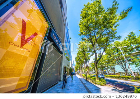 日本東京城市景觀,俯瞰東京表參道鬱鬱蔥蔥的綠色植物 日本東京城市景觀,俯瞰東京表參道鬱鬱蔥蔥的綠色植物 130249970