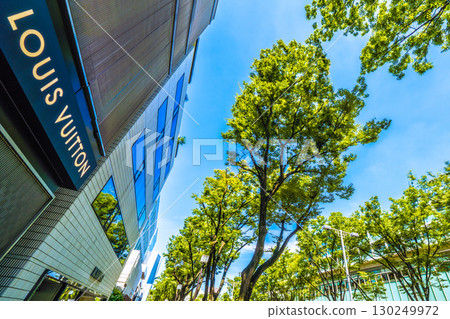 日本東京城市景觀，俯瞰東京表參道鬱鬱蔥蔥的綠色植物 130249972