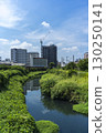 埼玉縣川口市，夏季的芝川，川口元鄉站附近 130250141