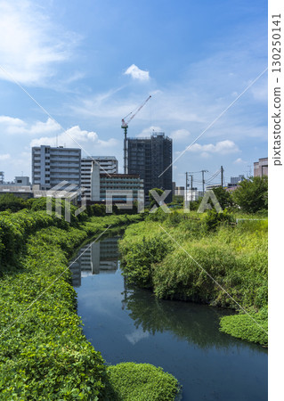埼玉縣川口市，夏季的芝川，川口元鄉站附近 130250141