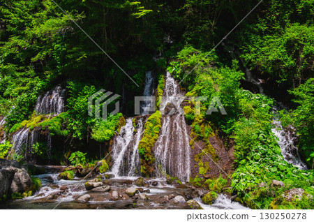 初夏的鳥龍瀑布 130250278