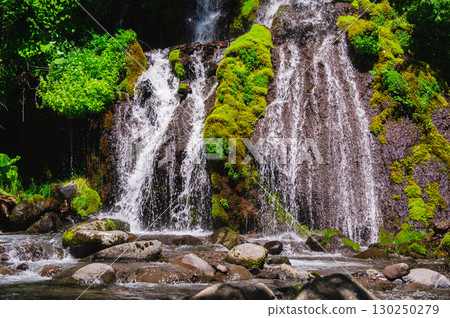 Toryu Falls in early summer 130250279